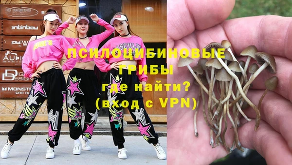 герыч Алзамай