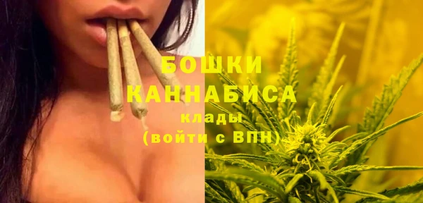 гидропоника Арсеньев