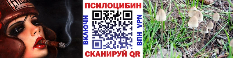 закладка  кракен   Псилоцибиновые грибы MAGIC MUSHROOMS  Гуково 