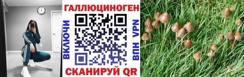 Галлюциногенные грибы прущие грибы Гуково